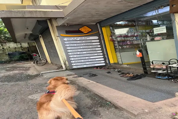 Tailwaggerz Pet Clinic