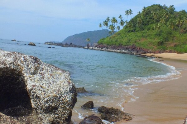 SandyGoa Tours & Travels