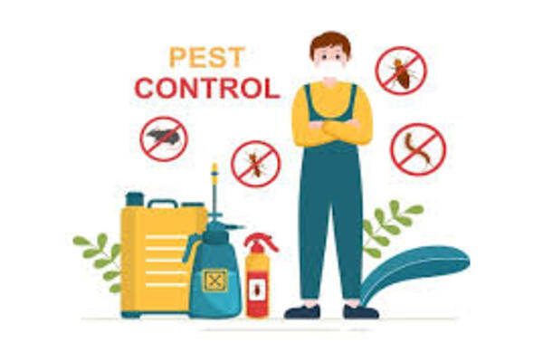 New Goa Pest Control Services